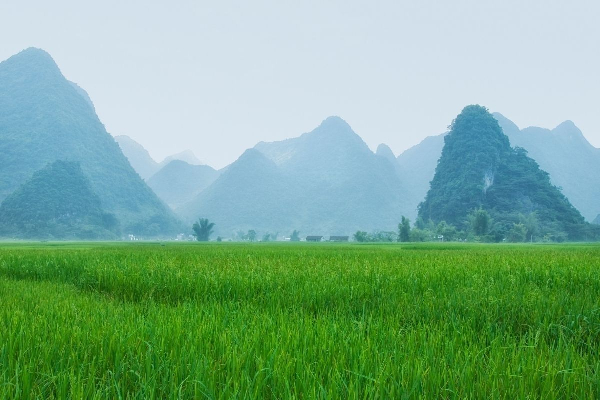 7D6N Hagiang - Du Gia - Meo Vac - Cao Bang - Ban Gioc Waterfall Tour - photo 6